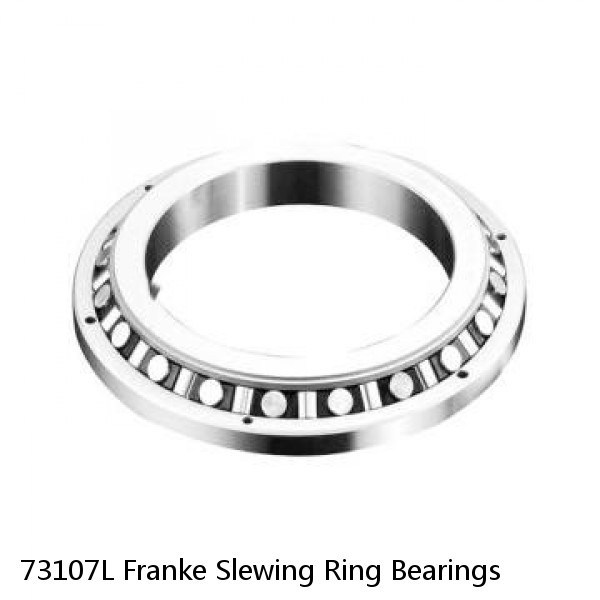 73107L Franke Slewing Ring Bearings