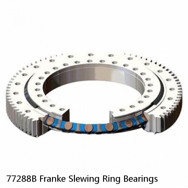 77288B Franke Slewing Ring Bearings