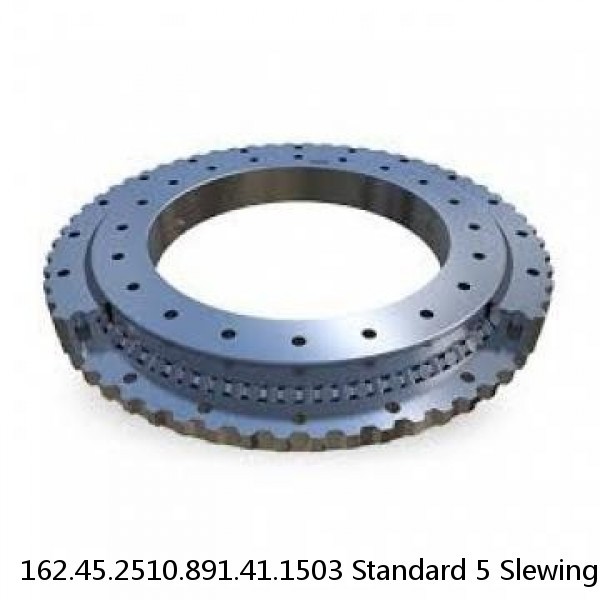 162.45.2510.891.41.1503 Standard 5 Slewing Ring Bearings