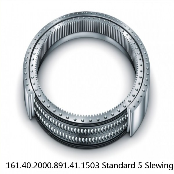 161.40.2000.891.41.1503 Standard 5 Slewing Ring Bearings