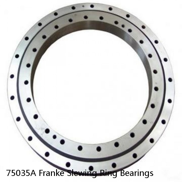 75035A Franke Slewing Ring Bearings