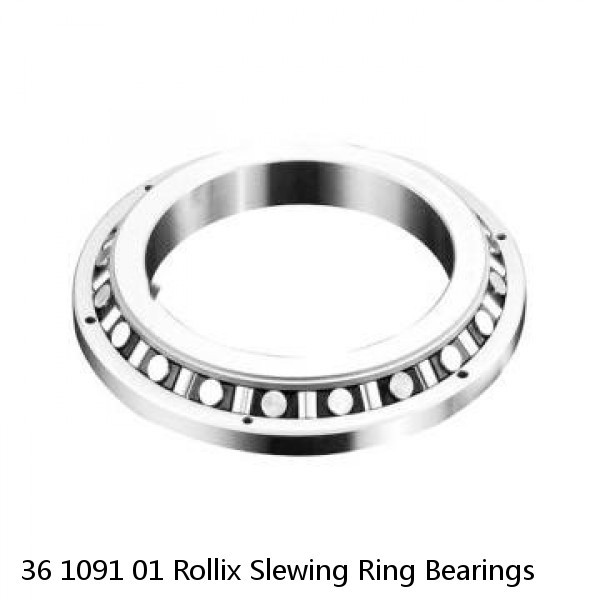 36 1091 01 Rollix Slewing Ring Bearings