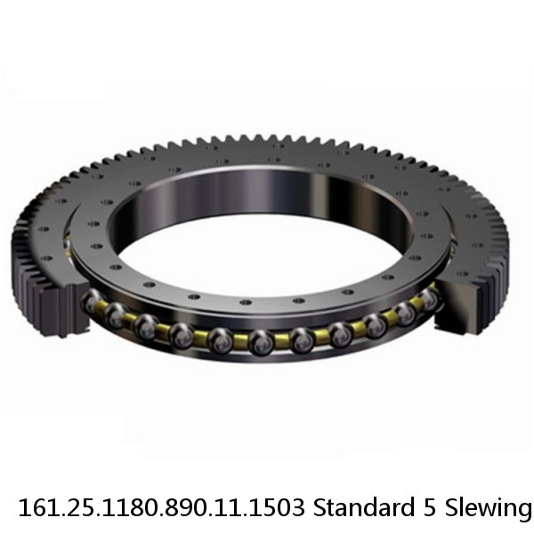 161.25.1180.890.11.1503 Standard 5 Slewing Ring Bearings