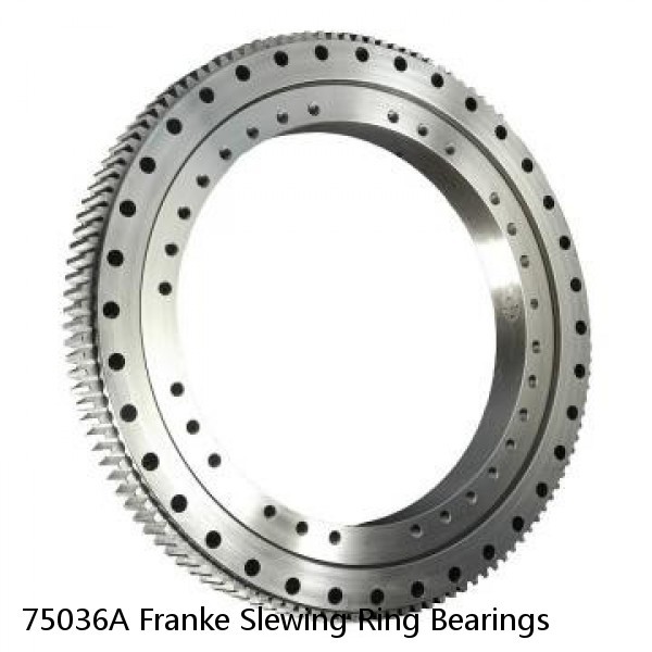 75036A Franke Slewing Ring Bearings