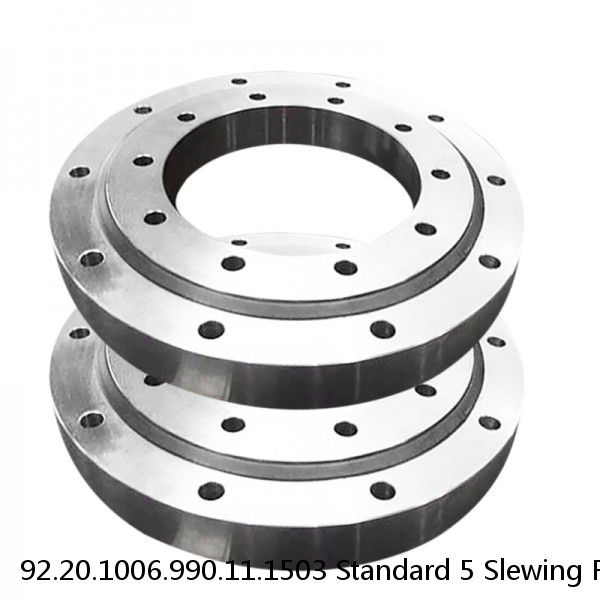 92.20.1006.990.11.1503 Standard 5 Slewing Ring Bearings