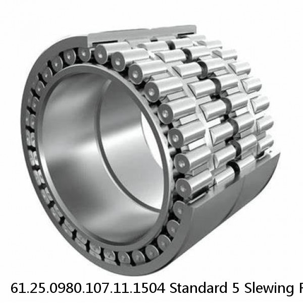 61.25.0980.107.11.1504 Standard 5 Slewing Ring Bearings