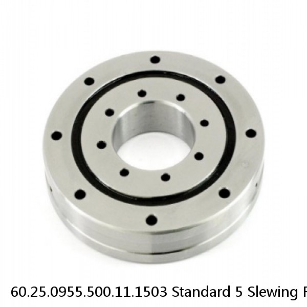 60.25.0955.500.11.1503 Standard 5 Slewing Ring Bearings