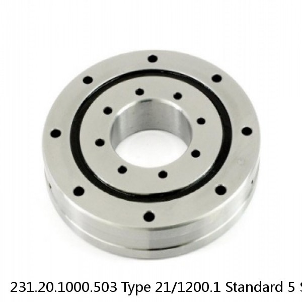 231.20.1000.503 Type 21/1200.1 Standard 5 Slewing Ring Bearings