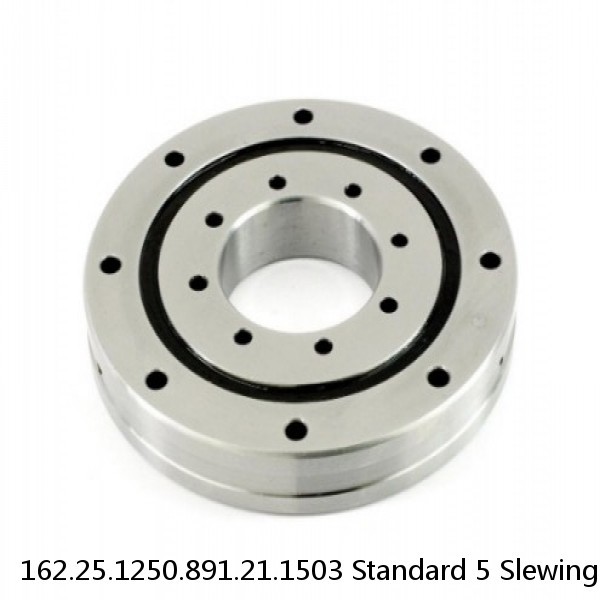 162.25.1250.891.21.1503 Standard 5 Slewing Ring Bearings