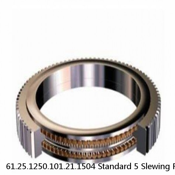 61.25.1250.101.21.1504 Standard 5 Slewing Ring Bearings