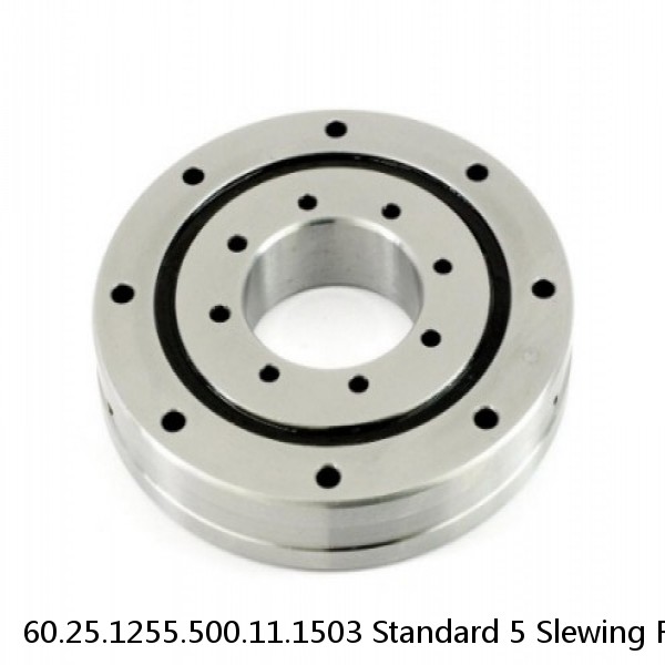 60.25.1255.500.11.1503 Standard 5 Slewing Ring Bearings