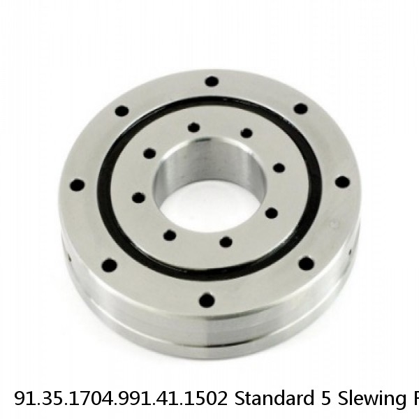 91.35.1704.991.41.1502 Standard 5 Slewing Ring Bearings