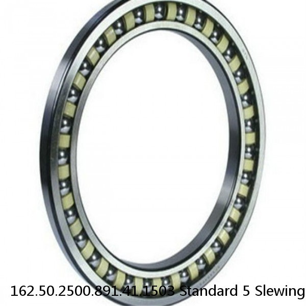 162.50.2500.891.41.1503 Standard 5 Slewing Ring Bearings