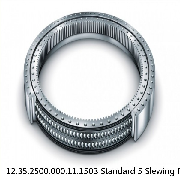 12.35.2500.000.11.1503 Standard 5 Slewing Ring Bearings