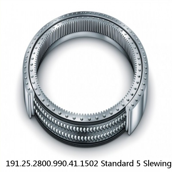 191.25.2800.990.41.1502 Standard 5 Slewing Ring Bearings