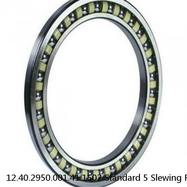 12.40.2950.001.41.1502 Standard 5 Slewing Ring Bearings