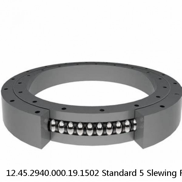 12.45.2940.000.19.1502 Standard 5 Slewing Ring Bearings