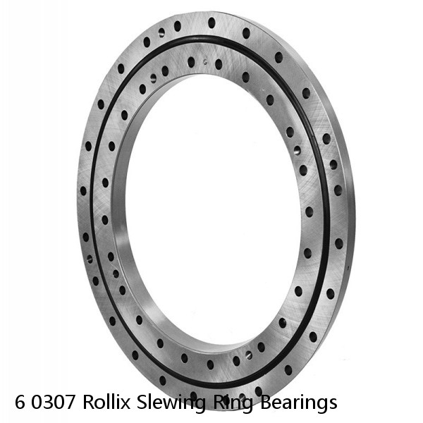 6 0307 Rollix Slewing Ring Bearings