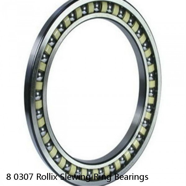 8 0307 Rollix Slewing Ring Bearings