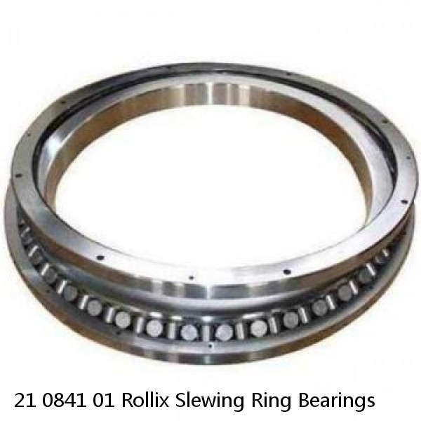 21 0841 01 Rollix Slewing Ring Bearings