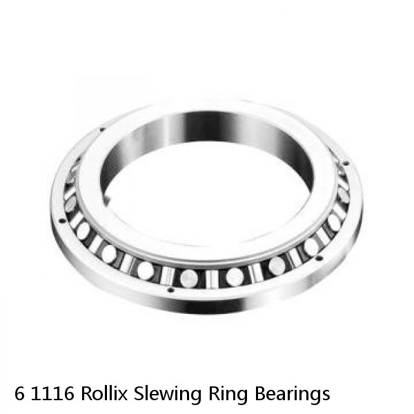 6 1116 Rollix Slewing Ring Bearings