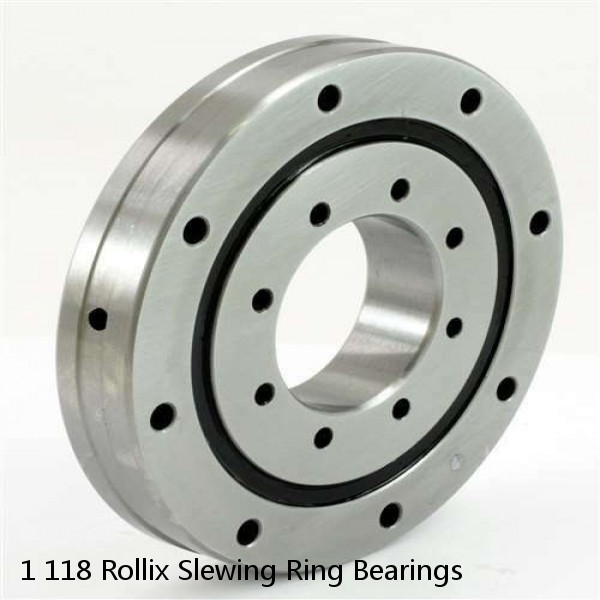 1 118 Rollix Slewing Ring Bearings