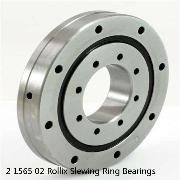 2 1565 02 Rollix Slewing Ring Bearings