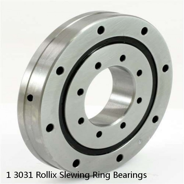 1 3031 Rollix Slewing Ring Bearings