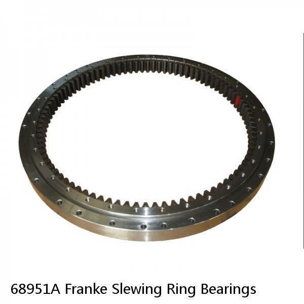 68951A Franke Slewing Ring Bearings