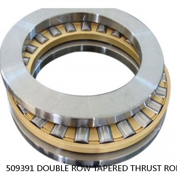 509391 DOUBLE ROW TAPERED THRUST ROLLER BEARINGS