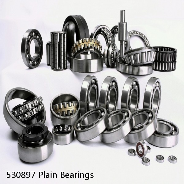 530897 Plain Bearings