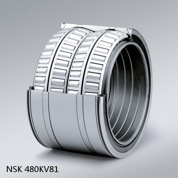 480KV81 NSK Four-Row Tapered Roller Bearing