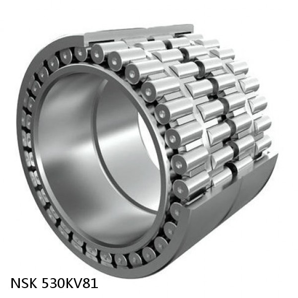 530KV81 NSK Four-Row Tapered Roller Bearing