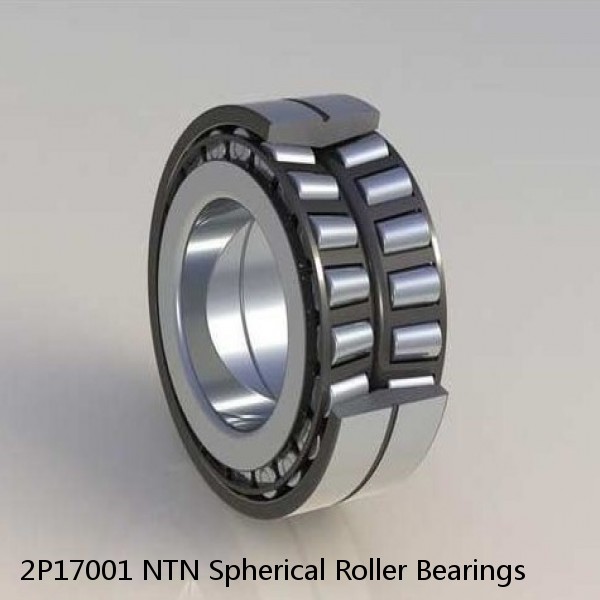 2P17001 NTN Spherical Roller Bearings