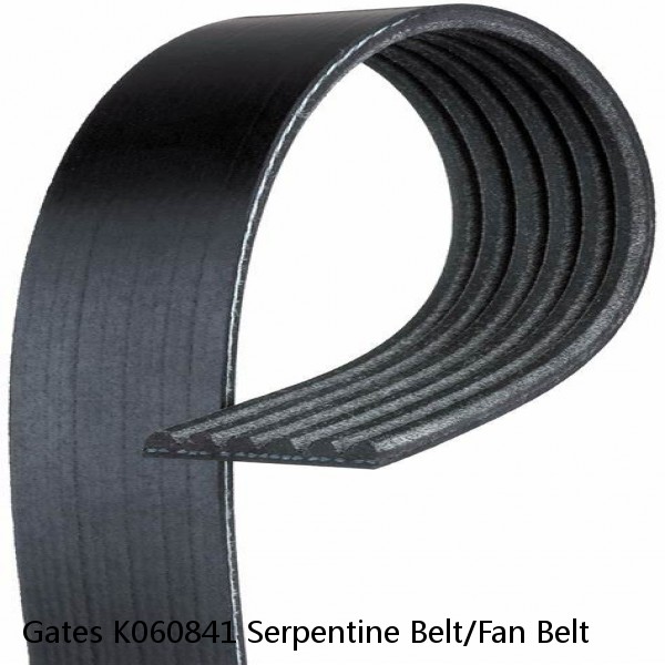 Gates K060841 Serpentine Belt/Fan Belt