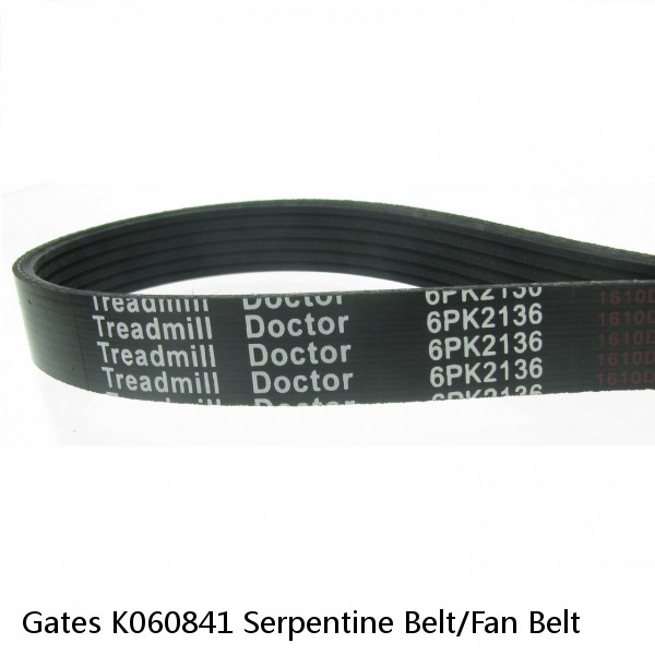 Gates K060841 Serpentine Belt/Fan Belt