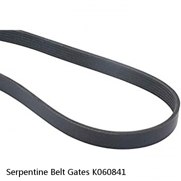 Serpentine Belt Gates K060841