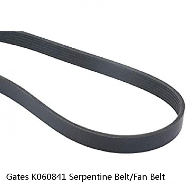 Gates K060841 Serpentine Belt/Fan Belt