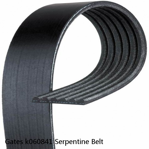 Gates k060841 Serpentine Belt