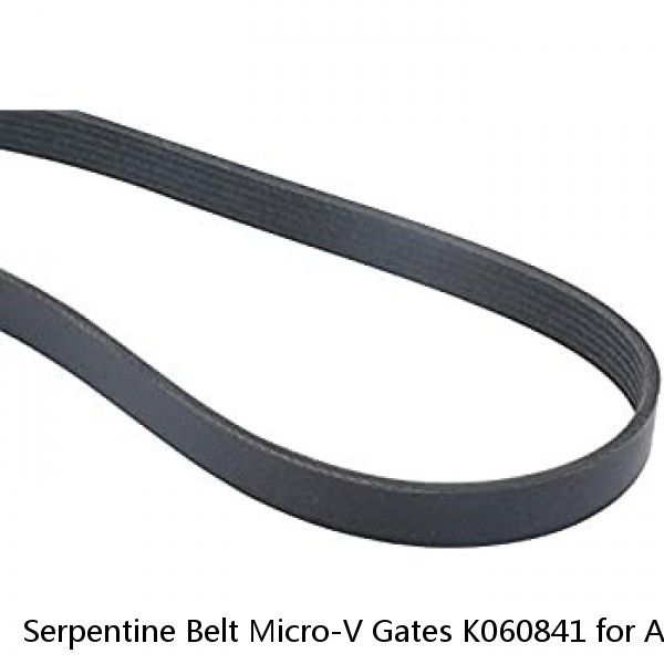 Serpentine Belt Micro-V Gates K060841 for Acura MDX RL TL Honda Accord Mercedes