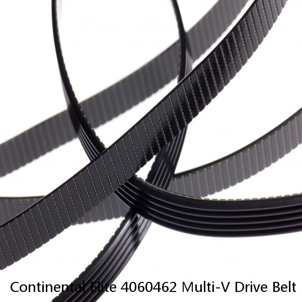 Continental Elite 4060462 Multi-V Drive Belt