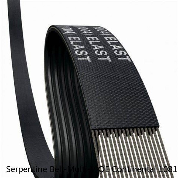 Serpentine Belt-Multi-V OE Continental 1081258 For RAM 2500, 3500,DODGE Ram 2500