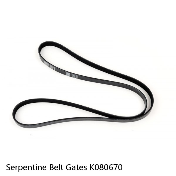 Serpentine Belt Gates K080670